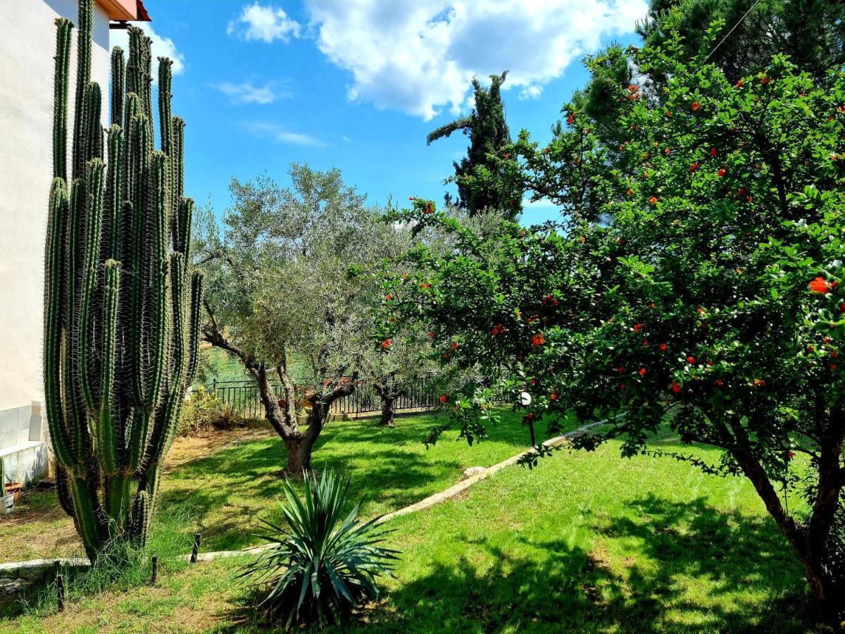 Villa Milenitta Βατοπέδι Εξωτερικό φωτογραφία