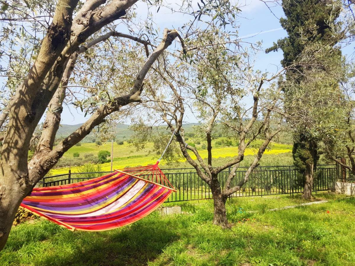 Villa Milenitta Βατοπέδι Εξωτερικό φωτογραφία